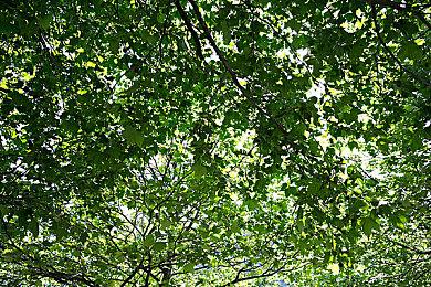 RPG《星之海》发布媒体赞誉图 游戏正式解锁发售