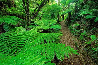 索尼CES展示“未来沉浸式娱乐概念” 玩家甚至可以闻到敌人气味